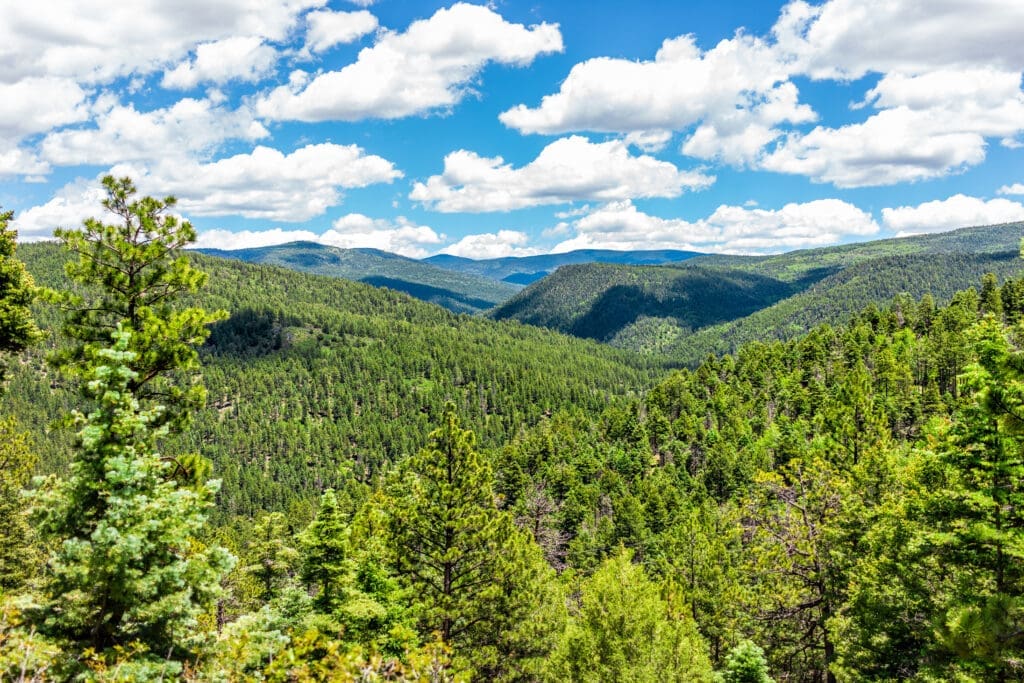 New Mexico Wild Submits Comments Against Roadless Rule Rescission