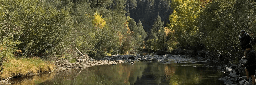 New Mexico Wild Files Objection to Gila National Forest Land Management Plan