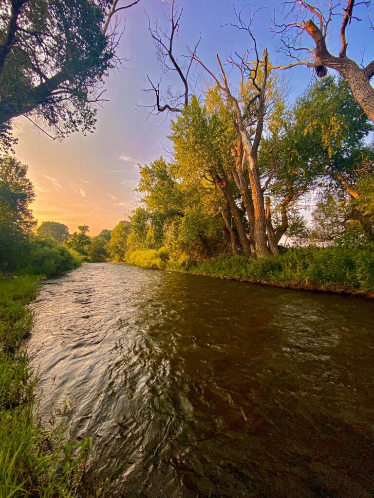 New Mexico Supreme Court details ruling on stream access