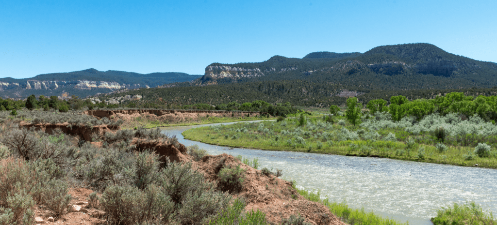 Rio Chama Pesticide Spray Canceled for the Second Year in A Row