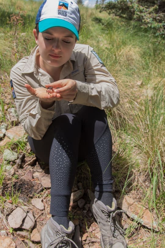 A Creative Mind in Wilderness: Bringing a New Element to Theatre