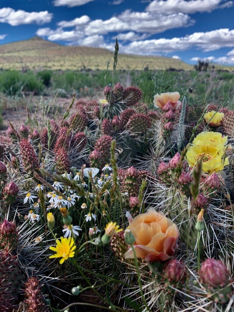 Protecting a national treasure that embodies the American Southwest