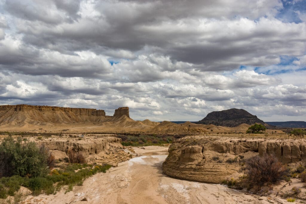New Mexico Wild Submits Protest on Rio Puerco Draft Resource Management Plan