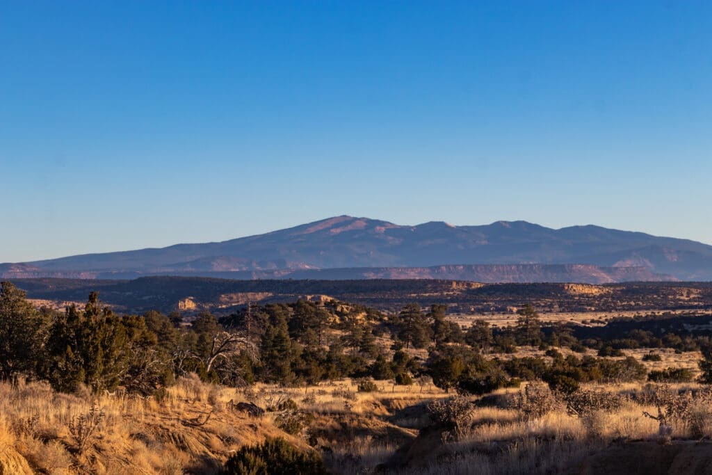 Wandering Wolf “Ella” Found Deceased in New Mexico
