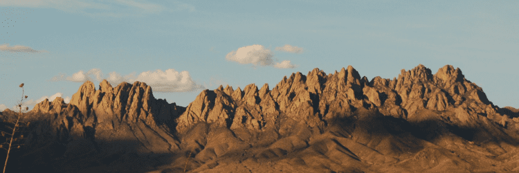 Action Alert: Weigh In on the future of Organ Mountains-Desert Peaks National Monument!