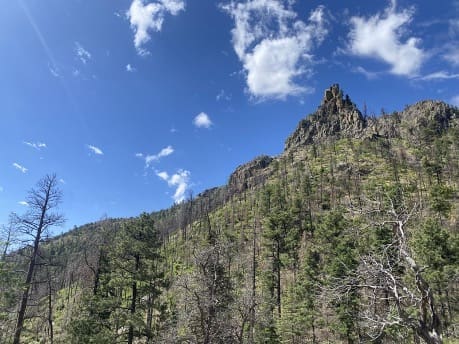 Trail Tales from the Apache Kid Wilderness: Adventures in Restoration and Discovery