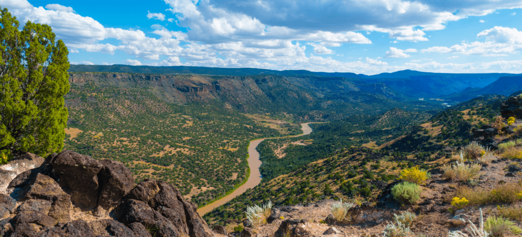 Adapt transmission lines for LANL’s energy needs