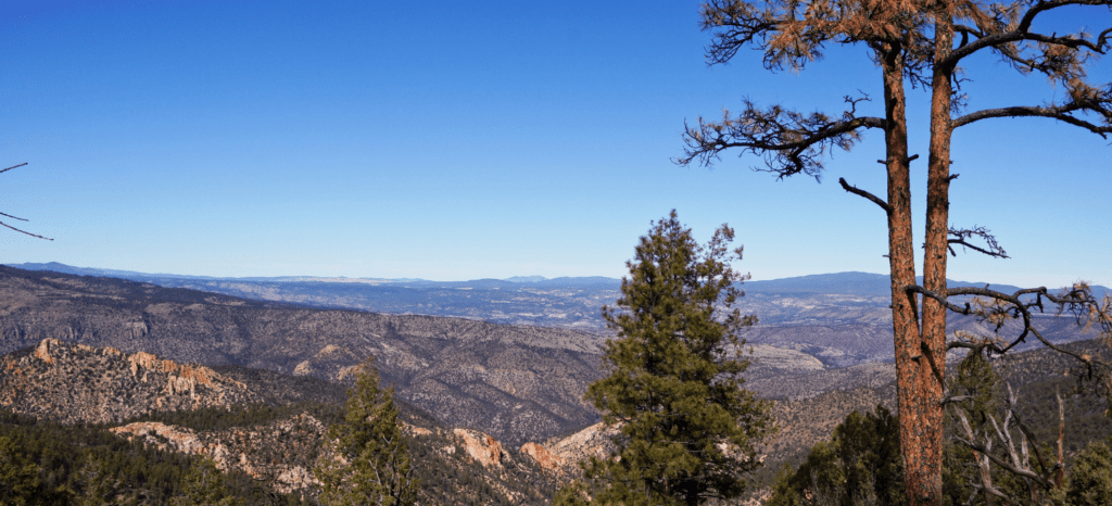 Conservation Group Comments Slam Air Force Combat Training Proposal
