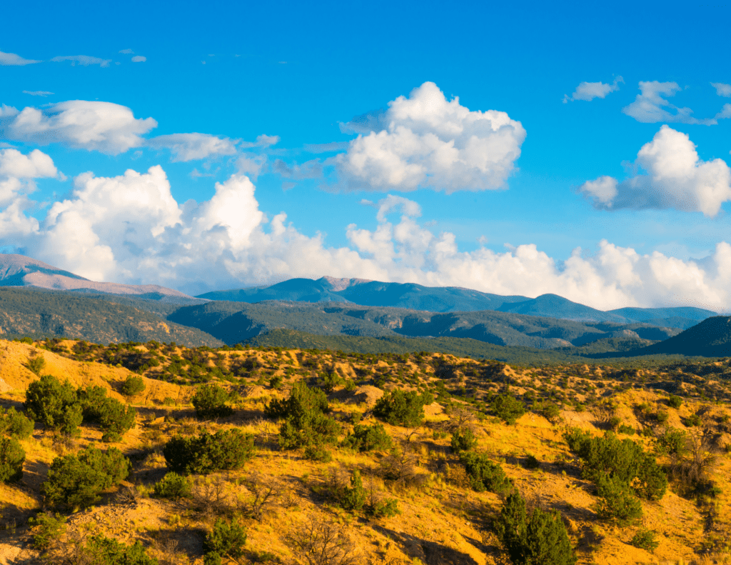 New Mexico voters show conservation and communities matter