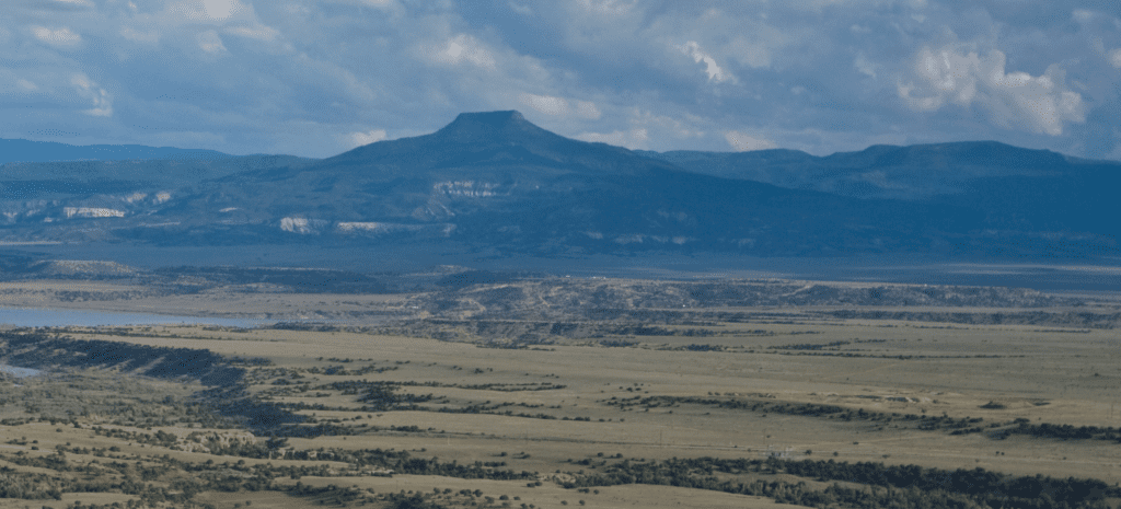 New Mexico Wild Submits Technical Comments on Santa Fe National Forest’s Encino Vista Landscape Restoration Project