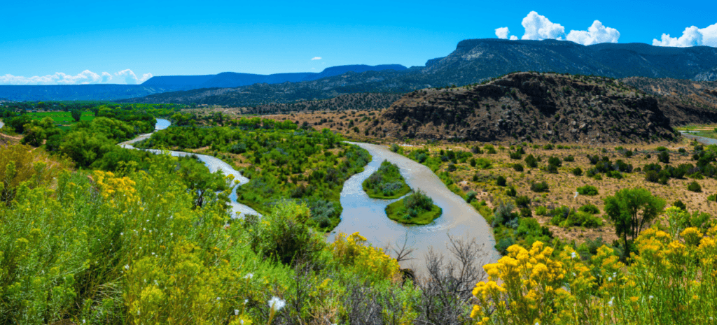 Sign the Petition: No pesticides in the fragile Rio Chama Ecosystem!