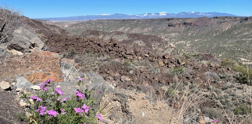 New Mexico Wild Files Formal Objection to LANL Power Line Project