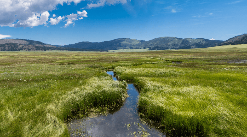 PRESS RELEASE: Trump Administration Moves to Strip Conservation from America’s Public Lands