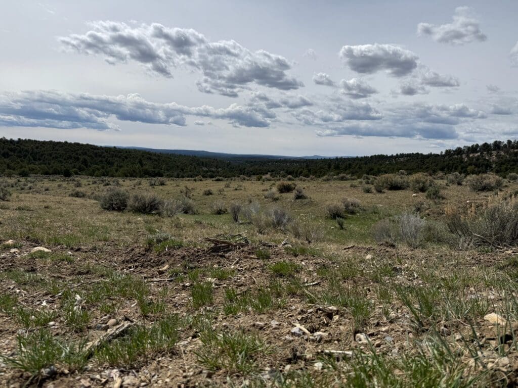 New Mexico Faith Leaders Unite to Call for Permanent Protection of the Sacred Caja del Rio