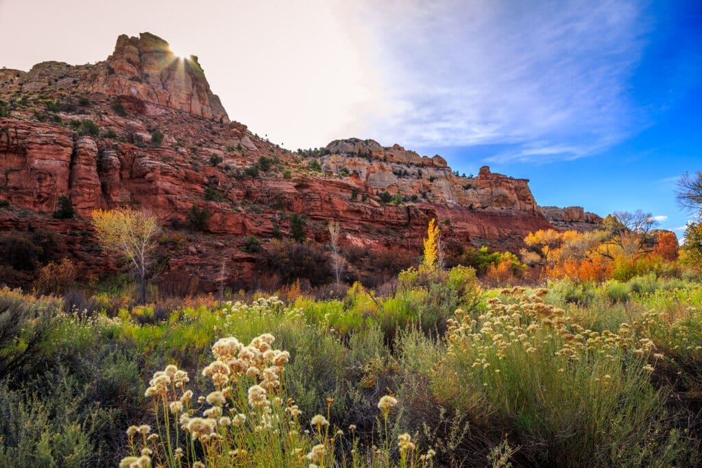 PRESS RELEASE: New Mexico Wild Warns Illegal Attack on Utah Monuments Puts Every National Monument at Risk