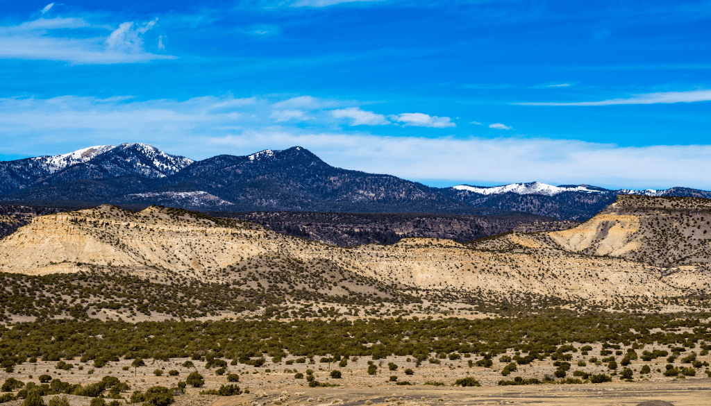 PRESS RELEASE: New Mexico Wild Mobilizes Statewide as Federal Government Opens Comment Period on Rule That Protects 1.6 Million Acres of New Mexico’s Wild Forests from Mining, Logging, and Road-Building 